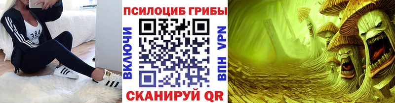 купить наркоту  Питкяранта  Галлюциногенные грибы Psilocybine cubensis 